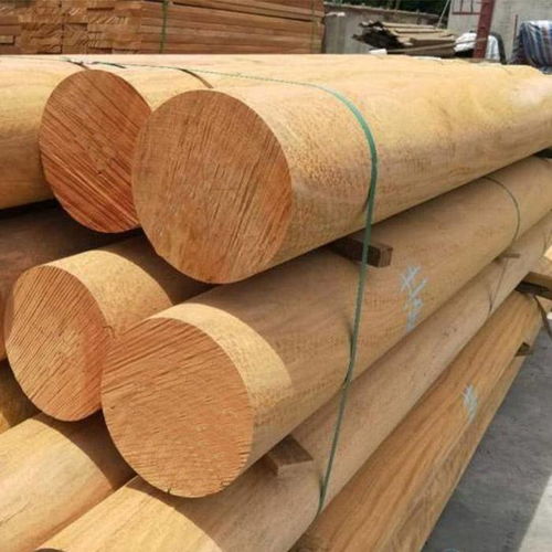 目前可进口的木材有哪些