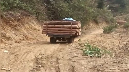 贵州山里运输木头才用这种车,挺厉害的,拉的不少