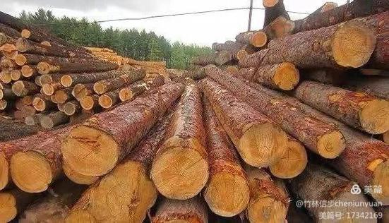 只有木材生产任务巨大的林业局才会有小火车运材.