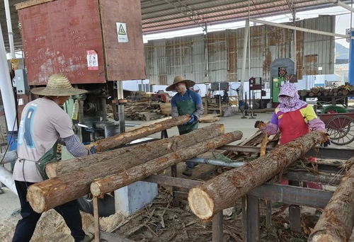 武宣思灵镇不断推进木材产业园区建设