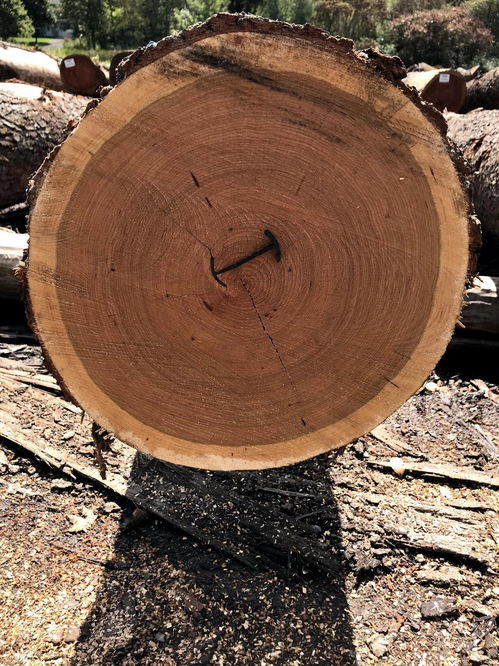 从原木到成品,木材加工需要经过哪些流程